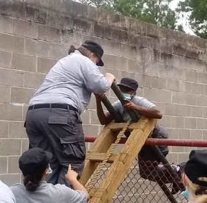 Meet your Posher, Marie